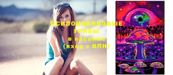 гашик Краснослободск