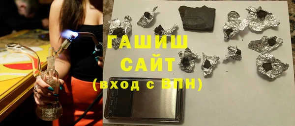 гашик Краснослободск