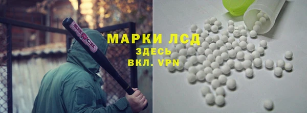 гашик Краснослободск