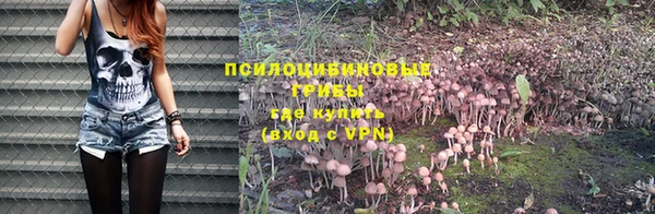 гашик Краснослободск
