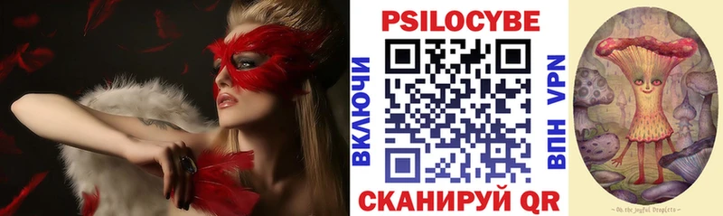 Псилоцибиновые грибы GOLDEN TEACHER  Купить  Можга 